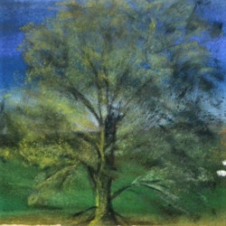 L'arbre